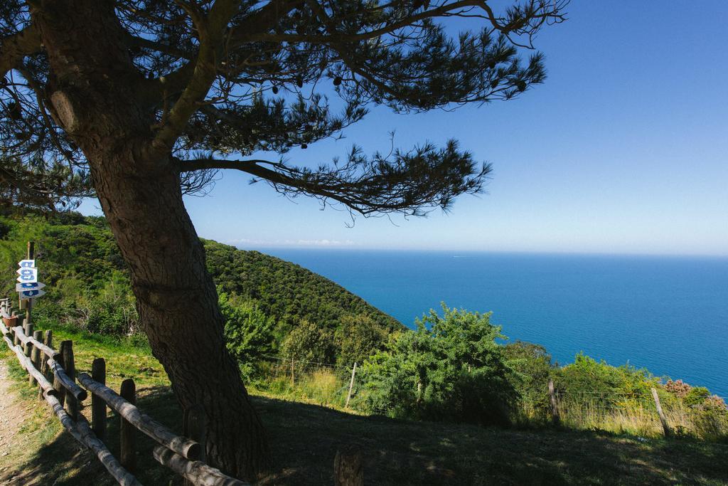 Torre Di Baratti Bio Resort Populonia Eksteriør bilde
