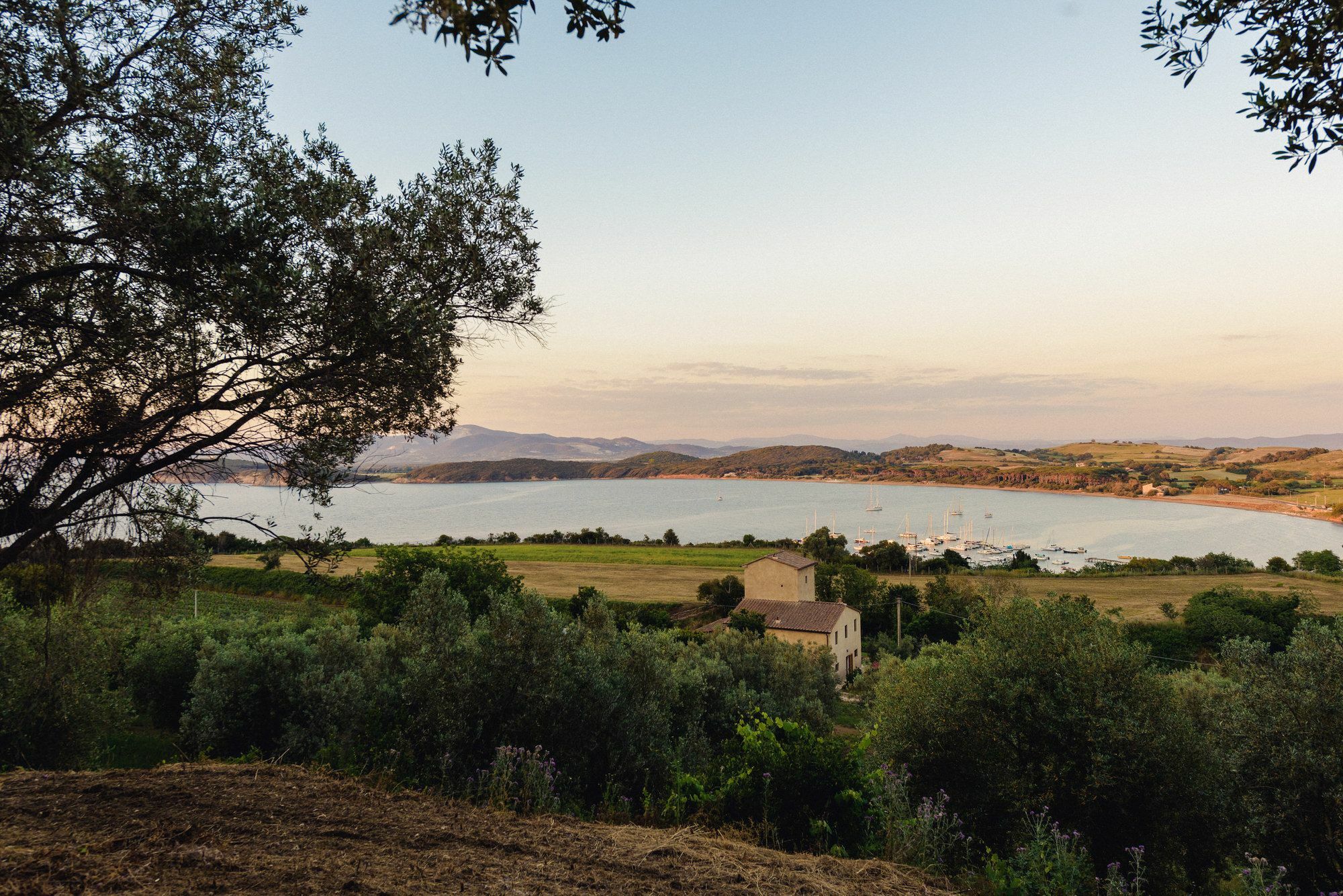Torre Di Baratti Bio Resort Populonia Eksteriør bilde
